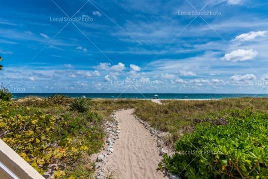 Beach view