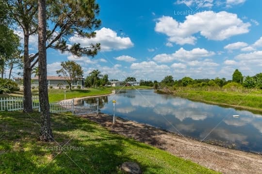 Lake view