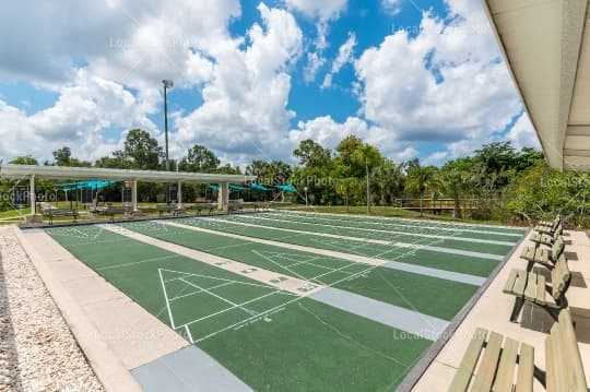 Shuffleboard