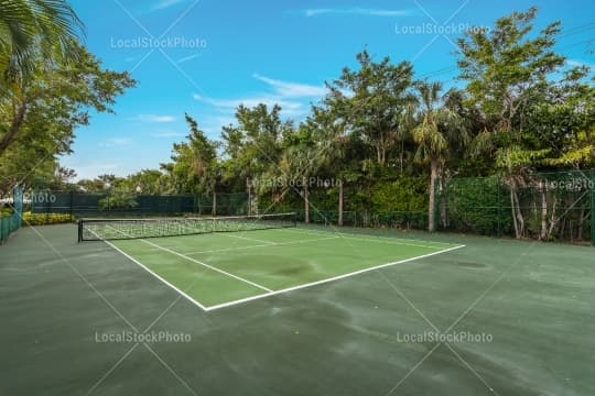 Tennis court