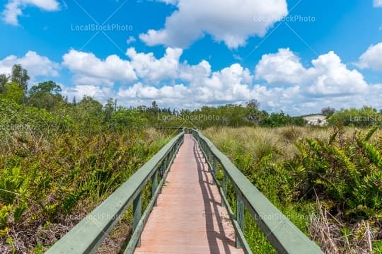 Walking path